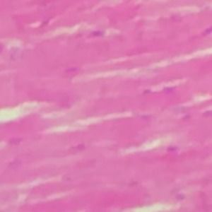 Meet your Posher, Olaia